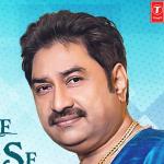 artist image Kumar Sanu, Alisha Chinai, Sapna Mukherjee & Nadeem Shravan Tere Ishq Mein Naachenge (From "Raja Hindustani") Raja Hindustani (Jhankar) [Original Motion Picture Soundtrack]