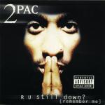 album image Do For Love R U Still Down? (Remember Me)