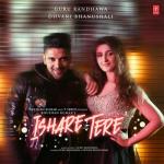 album image Ishare Tere (Remix) Ishare Tere - Single