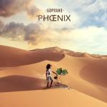 album image Ninja Phoenix